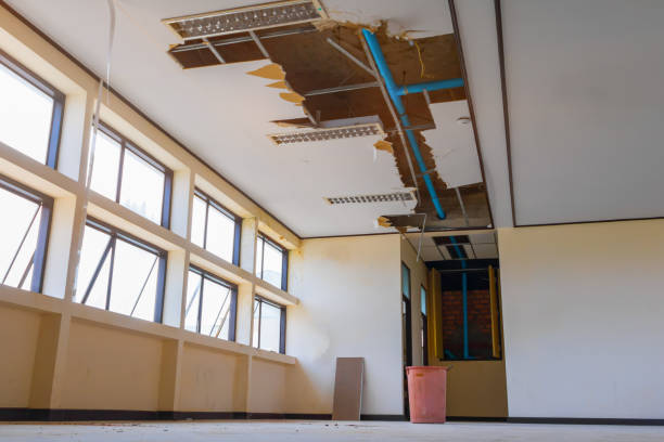 Best 24-hour water damage restoration  in Cibecue, AZ