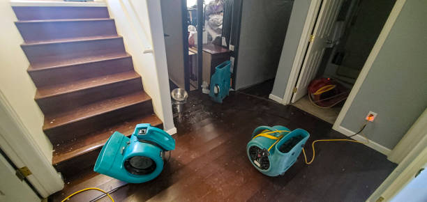 Local water damage restoration in AZ