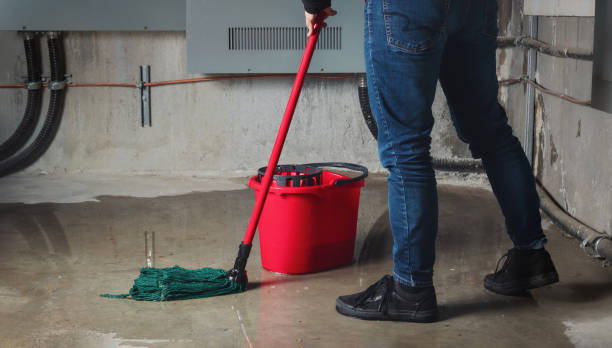 Best Basement water damage restoration  in Cibecue, AZ