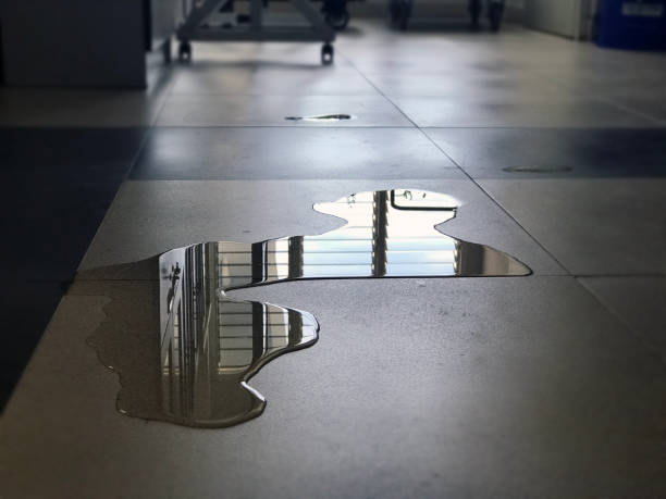 Best Emergency water damage restoration  in Cibecue, AZ