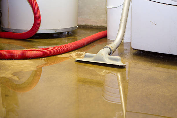 Best Local water damage restoration  in Cibecue, AZ