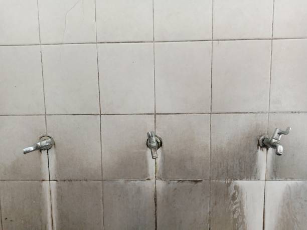 Best 24-hour water damage restoration  in Cibecue, AZ
