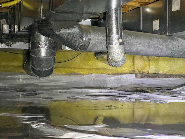 Best Local water damage restoration  in Cibecue, AZ