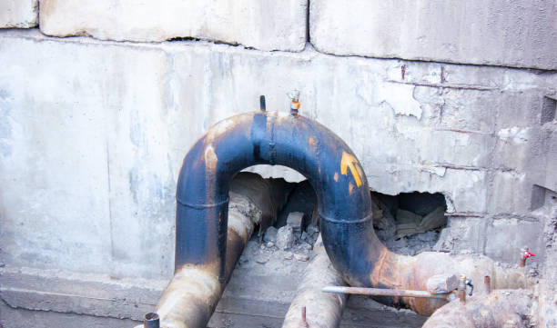 Best Water damage restoration near me  in Cibecue, AZ