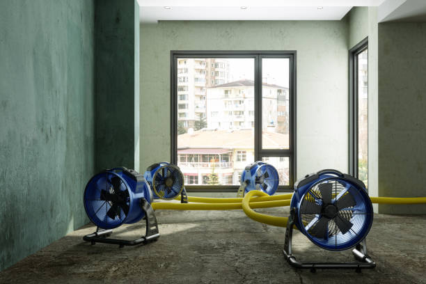 Best Residential water damage restoration  in Cibecue, AZ